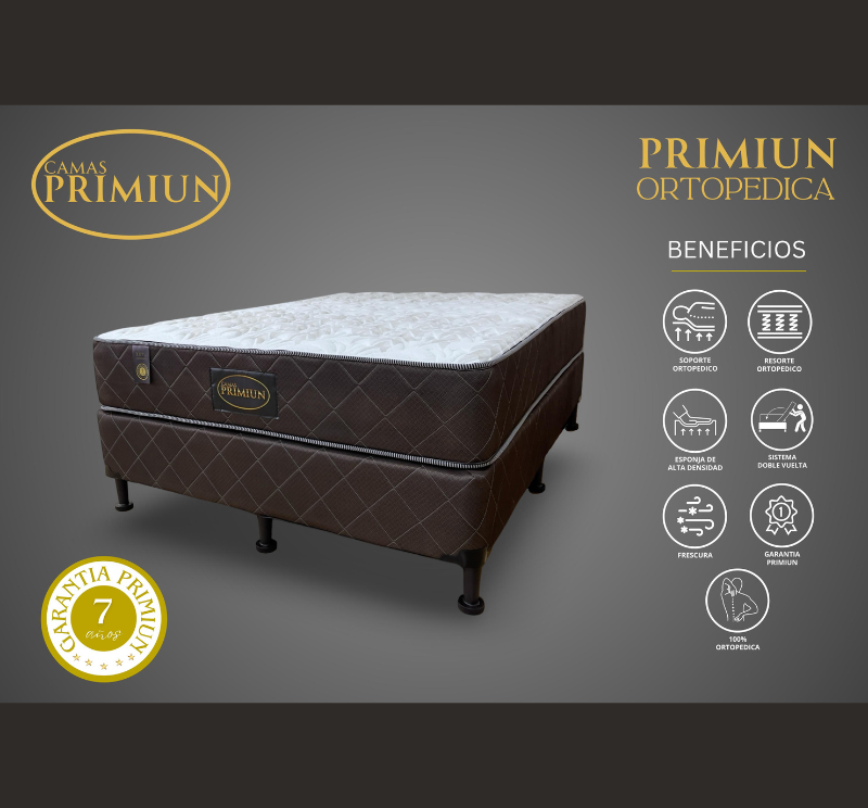 Set Ortopédico King Primium