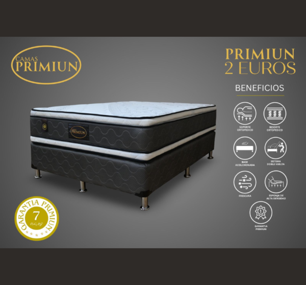 Set Doble Euro King Primium